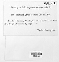 Image Associated With the Occurence